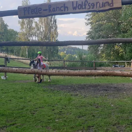 Wolfsgrund 14 Апартаменты Dorfchemnitz