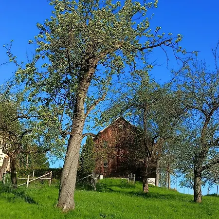 Wolfsgrund 14 Apartment Dorfchemnitz