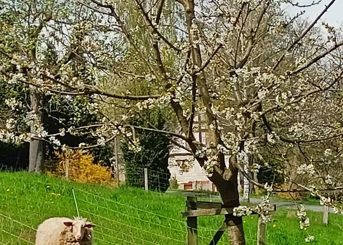 Appartement Wolfsgrund 14 *